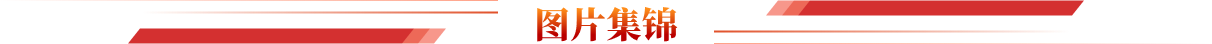 图片集锦