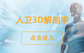 人卫3D解剖学